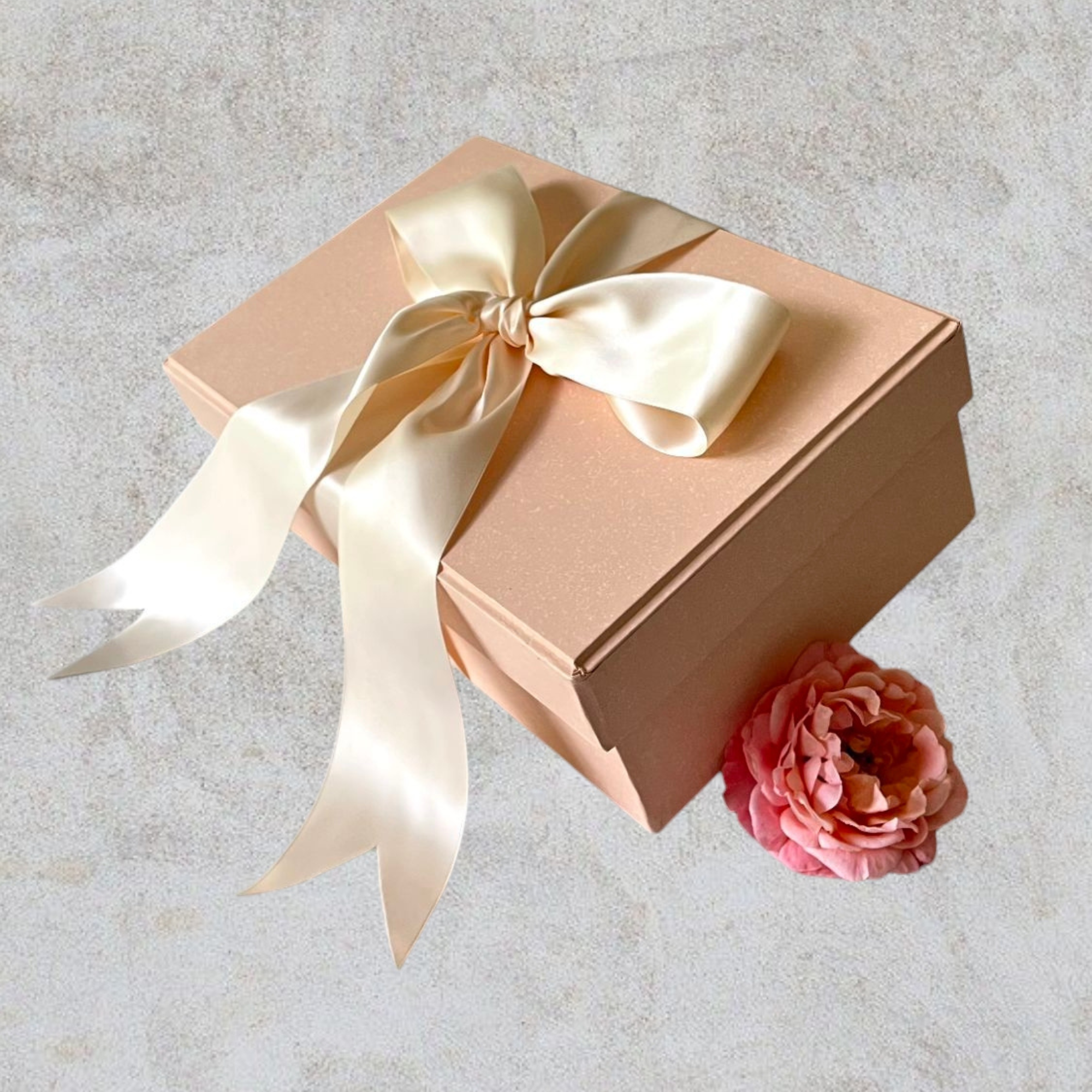 Caja S