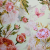 Flowers and butterflies